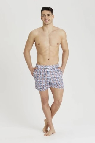 Arena Şort Men's Beach Short Allover Erkek Deniz Şortu 005253100 Mavi