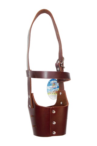 Percell Deri Köpek Ağızlık Büyük