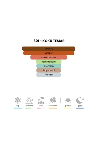 BEX 301 Unisex Parfüm EDP 50 ML