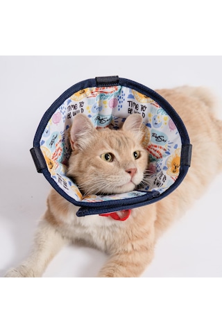 Petsuit Elizabeth Yakalık Kedi Siyah, Rahat Ve Ayarlanabilir Koruma Boyunluğu Kedi Yakalık
