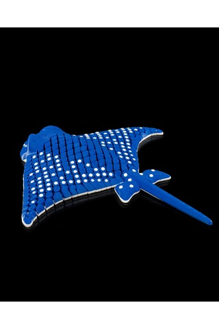 Hareketli Benekli Kartal Vatozu