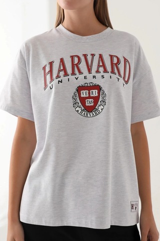 Harvard Kadın Tek Üst - Kar Melanj