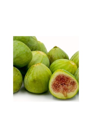 Bursa Beyazı İncir Fidanı Tüplü