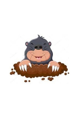 Kösnü Köstebek Ocağı Toprağı