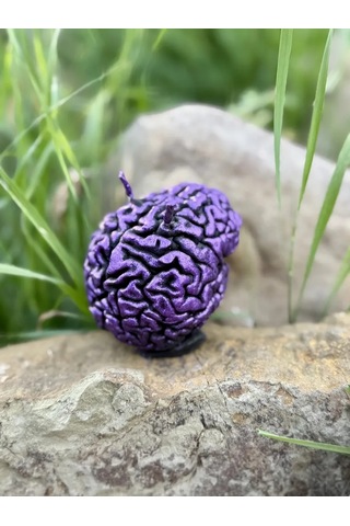 Plama Feniksa Sihirli Mum "beyin Temizliği" 167540867 Siyah