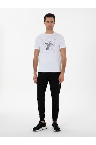 Cacharel Siyah Regular Fit Paçası Lastikli Eşofman Altı