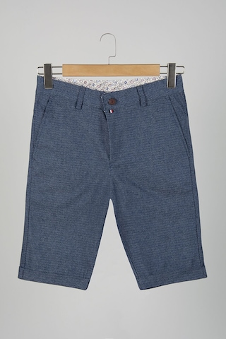 Terapi Men Erkek Mavi Slim Fit Keten Şort Çokrenkli5