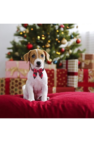 Leezsingfiyonklu Noel Köpek Tasması, Ayarlanabilir Pamuklu Kırmızı Kareli Papyon Büyük Köpekler İçin Noel Köpek Tasmaları Evcil Hayvanlar-8
