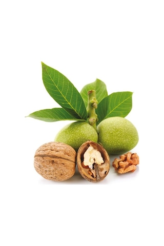 İZMİR TİRE YAMANDERE KÖYÜ TAZE KABUKLU CEVİZ 1 KG