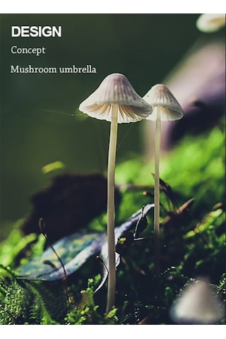 Simaavize Modern Black Led Aplik -şarzlı -gün Işığı Siyah