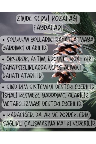 Servi Kozalağı Özü Doğal Geleneksel Üretim Net: 1250gram
