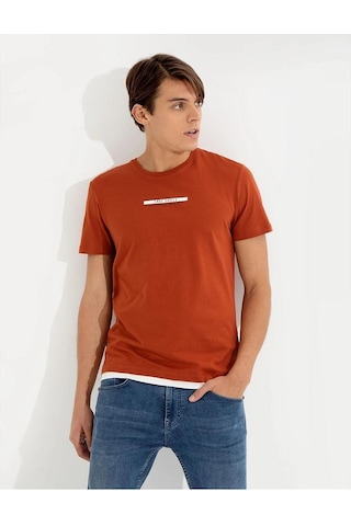 Pierre Cardin Bakır Slim Fit Bisiklet Yaka T-shirt Çok Renkli