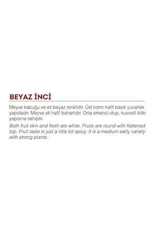 AGRodal Tarım Yerli Doğal Turp Beyaz İnci 500 Adet Tohum