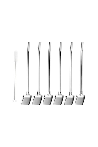 6'lı Paslanmaz Krom Pipetli Latte Kaşığı Kokteyl Kaşığı Ve Temizleme Fırçası, 22 Cm Kürek Model Inox