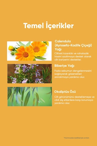 Aynısefa İçeren Gözenek Arındırıcı Makyaj Temizleme Yağı A'pıeu Calendula Cleansing Oil Pore Melting 98825722