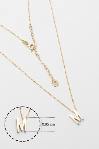 M Harfi 18 Ayar Sarı Altın Kaplama 45 Cm Gümüş Kolye Gold - Gümüş