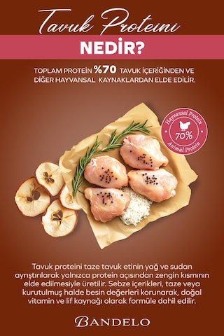 Bandelo Tavuklu Yavru Kuru Kedi Maması 750 Gr - Gelişim Desteği & Yüksek Protein - Koku Önleyici Etkili