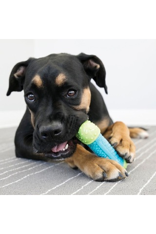 Kong Core Strength Köpek Çiğneme Oyuncağı 7 CM