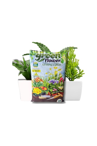 Organik Ve Besleyici Saksı Toprağı Torf 10 Litre 10 L