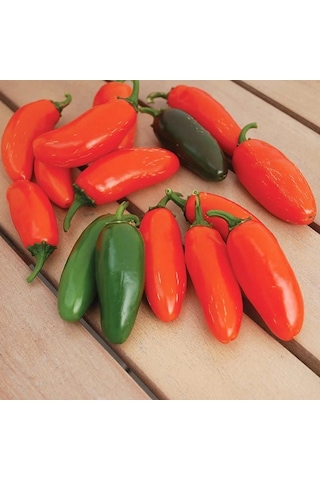 Geleneksel Zehir Gibi Acı Çok Acı Gialla Jalapeno Biber Tohumu 10 Tohum