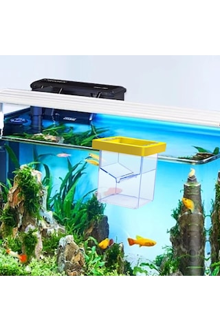 Suntek Yüzen Balık Yetiştirici Kutusu Palyaço Balığı