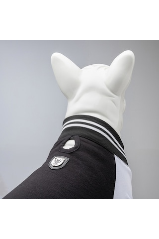 College Brooklyn Küçük Orta Ve Büyük Irk Köpek Sweatshirt