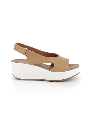 Sandalet Kadın Diğer 7666022 Igı&co Dcd 76660 Capra Tamponata Biscotto Biscotto Çok Renkli