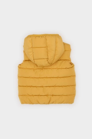 Defacto Erkek Bebek Su Geçirmez Tafta Kapüşonlu Şişme Yelek A2221a525auyl74 Sarı
