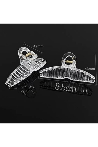 Okavango Kadın Şeffaf Fiyonk Mandal Toka Çok Renkli