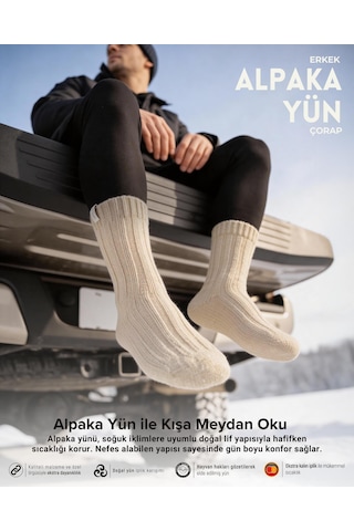 Bolero Nordsox E31 Erkek Alpaka Yün Soket Çorap 41-45 Bej