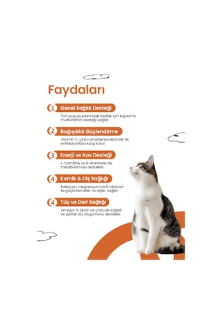 Kediler İçin Multivitamin