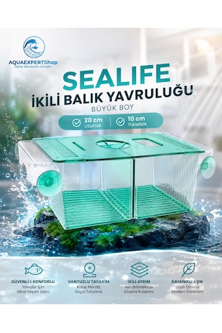 Akvaryum İkili Balık Yavruluğu Büyük Boy 20x10 Cm Turkuaz Güvenli Çift Bölmeli Tasarım