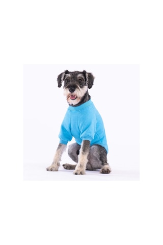 Pawstar Turkuaz Power Polarlı Küçük Irk Köpek Sweatshirtü