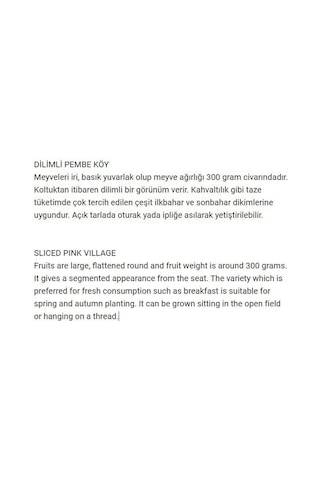 AGRodal Tarım Ata Tohumu Yerli Dilimli Pembe Köy Domatesi 100 Adet Tohum