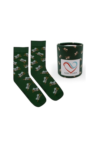 Gost Liria Koala Socks Desenli Unisex Soket Çorap Yeşil
