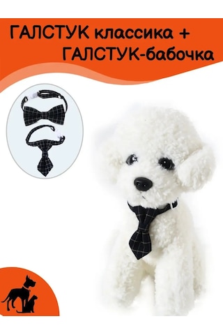 Tevdı Köpekler Ve Kediler İçin Papyonlu Klasik Kravat Seti - Aksesuar 153054584