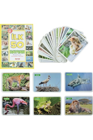Flash Cards Ilk 50 Hayvan Bebek Eğitim Seti