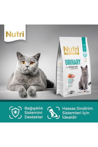 Nutri Feline Urinary Somonlu Yetişkin Kedi Maması 10 KG