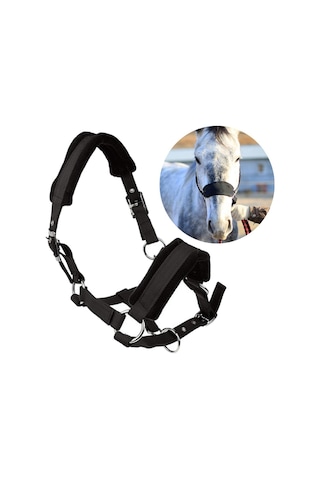 Suntek Kalınlaşmak Midilli At Boyundan Bağlamalı Baş Yaka At Çok Renkli