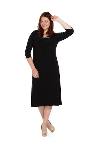 Nidya Moda Büyük Beden Ray Yaka Elbise-4079S Siyah