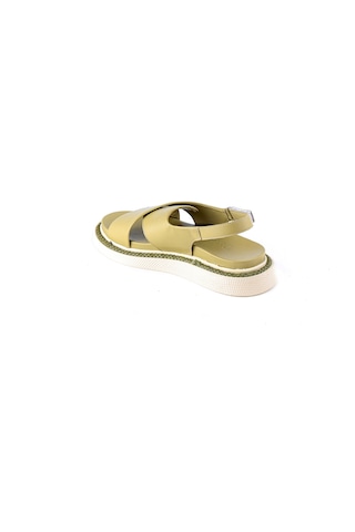 Dexter Ofl1073-311-13 Kadın Sandalet Çok Renkli