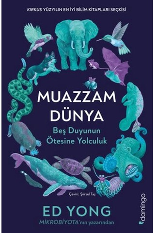 Kutubist Merakın İzinde 10 Kitap Seti Tarih, Bilim, Psikoloji, Kişisel Gelişim Ve Edebiyat