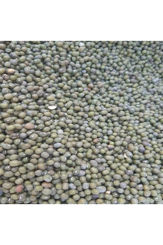 Bahcemdenonline Yerli Maş Fasulyesi 2 Kg