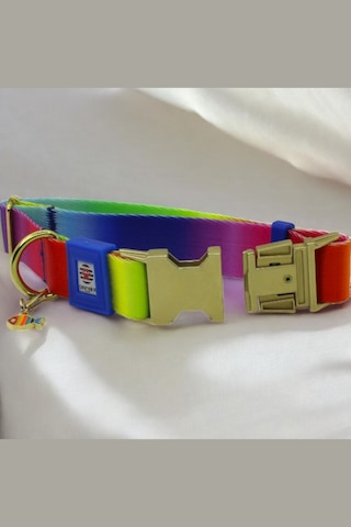 İsimli Köpek Tasması, Orta Ve Büyük Irk, Metal Kilitli Çkrnkmtl