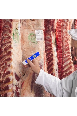 Amt 206 Lazerli ve Daldırma Problu Gıda Termometresi