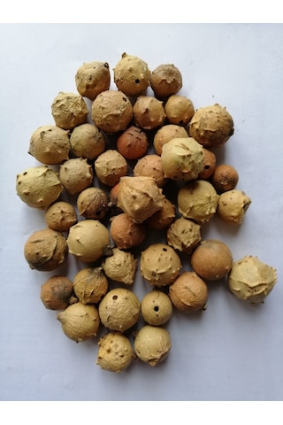 Meşe Mazısı Beyaz 250gr