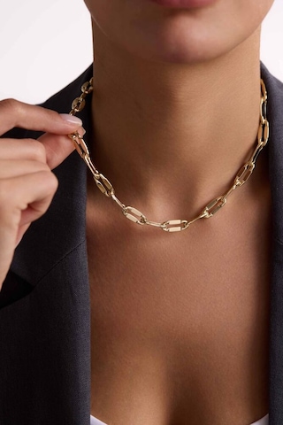 İtaly Lıght Altın Set Takımı T13865