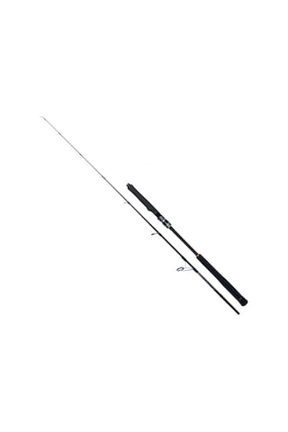 Ryuji Seawolf Sp 198cm 150-250gr Jig Olta Kamışı