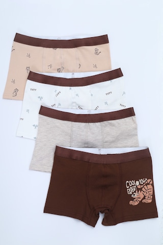Toontoy Erkek Çocuk Çok Desen Baskılı 4lü Paket Boxer Çok Renkli