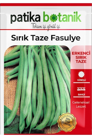 40 Adet Yerli Ata Sırık Fasulye Tohumu Mine